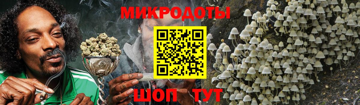 даркнет сайт  Вход с VPN  Кимовск  Галлюциногенные грибы прущие грибы  Галлюциногенные грибы прущие грибы 